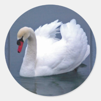 PEGATINA REDONDA SWAN ELEGANCE