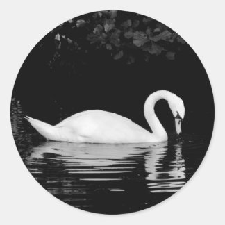 Pegatina Redonda Swan, Roath Park, Cardiff.