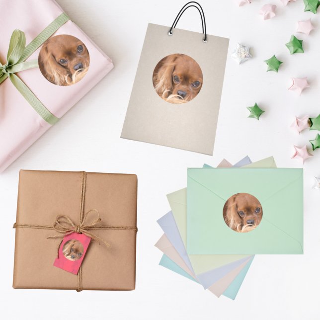 Pegatina Redonda Sweet Ruby Cavalier King Charles Spaniel (Subido por el creador)