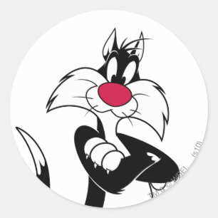 Pegatina Redonda SYLVESTER™ Red Nose