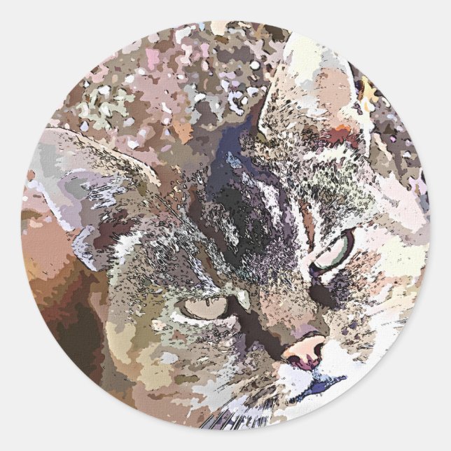 PEGATINA REDONDA TABBY CAT (Anverso)