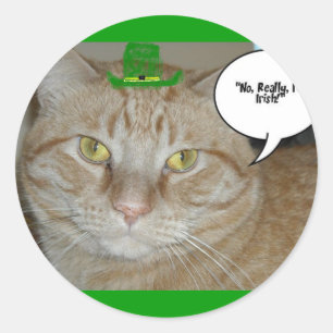 Pegatina Redonda Tabby Cat, Naranja del Día de San Patricio
