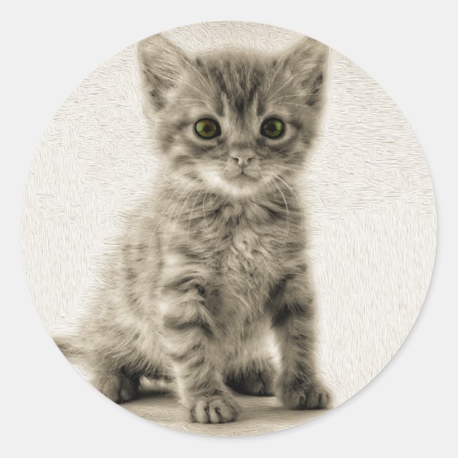 Pegatina Redonda Tabby Kitty (Anverso)