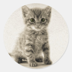 Pegatina Redonda Tabby Kitty