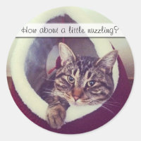 Tabby Kitty In Hut Close-Up Photograph