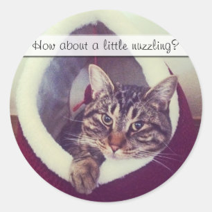 Pegatina Redonda Tabby Kitty In Hut Close-Up Photograph