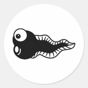 Pegatina Redonda Tadpole