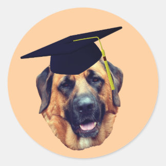 Pegatina Redonda Tapón de graduación de perro de mastiff americano