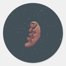 Tardigrado en el espacio