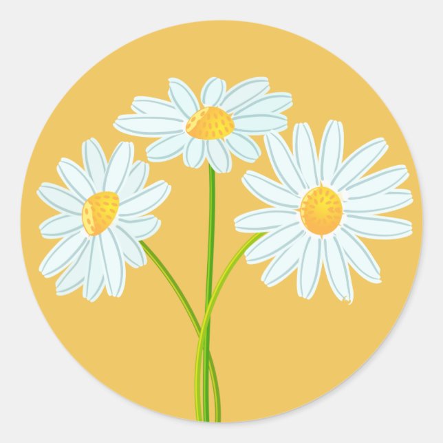 Pegatina Redonda Tarjeta de Naranja de flores de margarita blanca (Anverso)