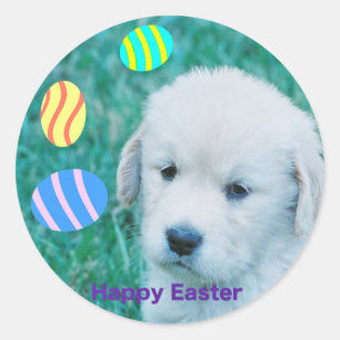 Pegatina Redonda Tarjetas y regalos del perrito de Pascua del