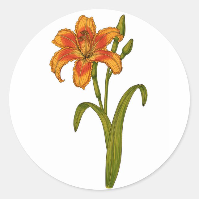 Pegatina Redonda Tawny daylily (Anverso)
