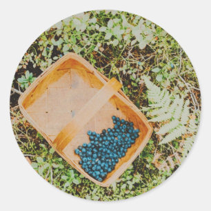 Pegatina Redonda Taza de arándano salvaje en el bosque sueco