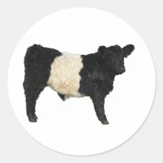 Pegatina Redonda ¿Te apetece un Oreo? Vaca Galloway Bellada