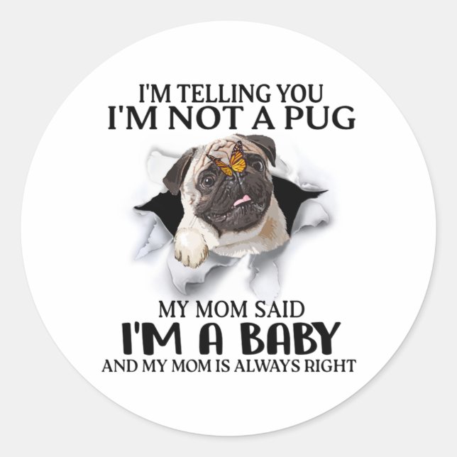 Pegatina Redonda Te estoy diciendo que no soy un cerdo, soy un aman (Anverso)