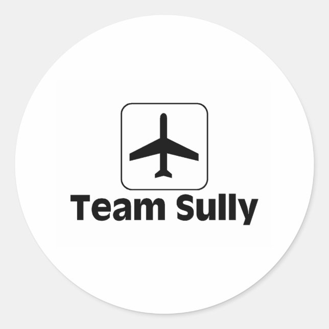 Pegatina Redonda Team Sully (Anverso)