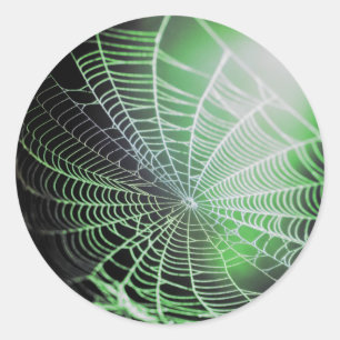 Pegatina Redonda Tela de Araña Verde Negra Espeluznante y Tenebrosa