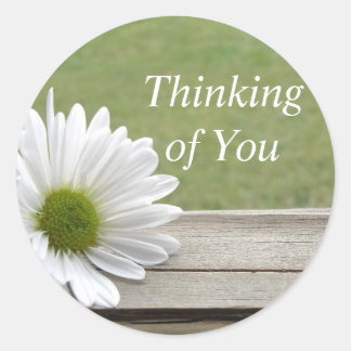 Pegatina Redonda Tema de Daisy