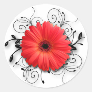 Pegatina Redonda Tema de la margarita del Gerbera