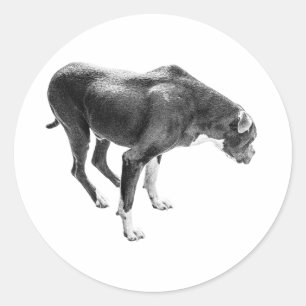 Pegatina Redonda Temporada de Lealtad