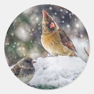 Pegatina Redonda Tengo mi ojo en ti