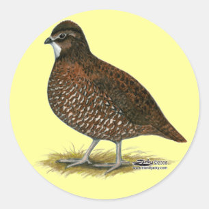 Pegatina Redonda Tennessee Red Quail