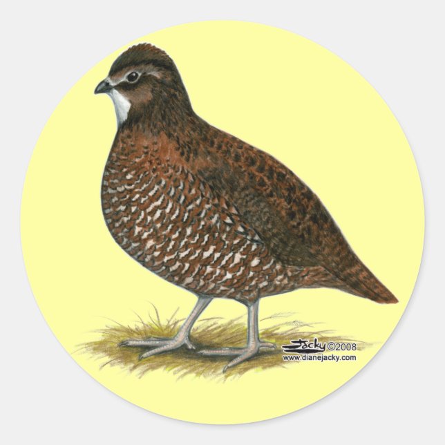 Pegatina Redonda Tennessee Red Quail (Anverso)