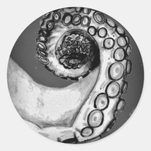 Pegatina Redonda Tentáculo de pulpo nautico blanco y negro vintage