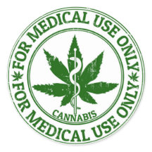 Terapia de plantas medicinales