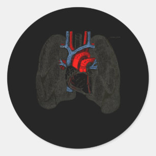 Pegatina Redonda Terapia Respiratoria Lung Nerd Fun Rt