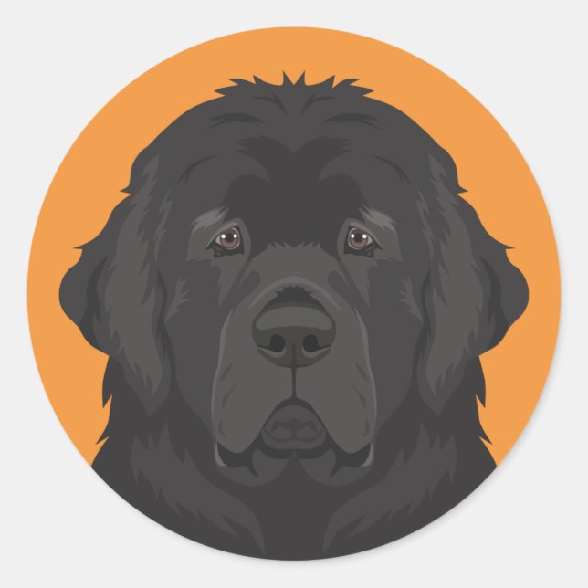 Pegatina Redonda Terranova (Anverso)