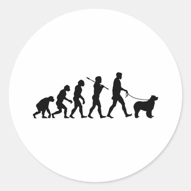 Pegatina Redonda Terranova (Anverso)