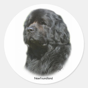 Pegatina Redonda Terranova