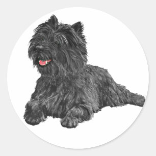 Pegatina Redonda Terrier del Cairn Negro
