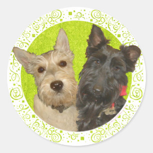 Pegatina Redonda Terriers Escoceses Wheaten y Negros