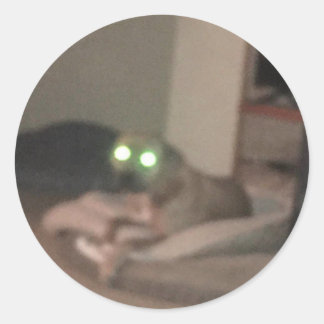 Pegatina Redonda test