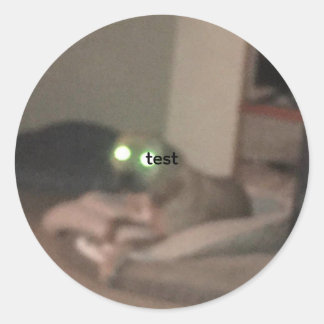 Pegatina Redonda test