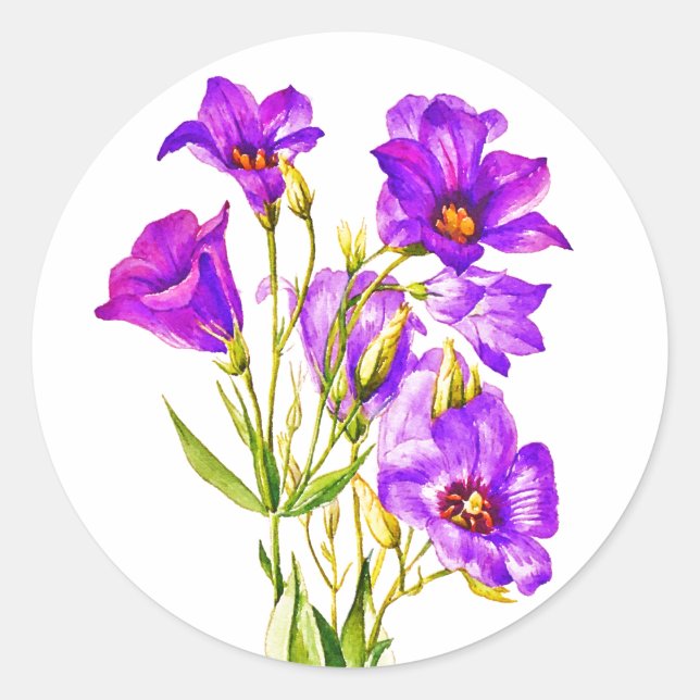 Pegatina Redonda Texas Bluebells Eustoma Russellianum Watercolor (Anverso)