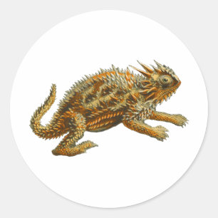 Pegatina Redonda Texas Horned Lizard
