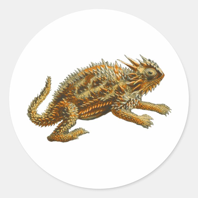 Pegatina Redonda Texas Horned Lizard (Anverso)