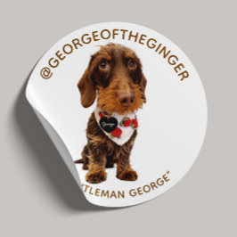 Pegatina Redonda The George | Influencer de Mascotas Moderno Foto 1