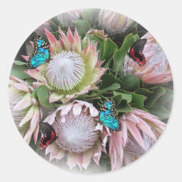 Pegatina Redonda The King Protea 