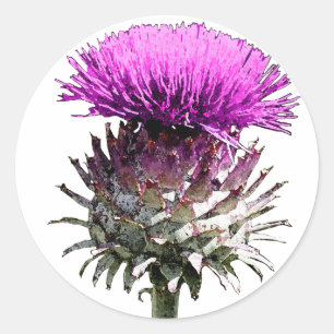 Pegatina Redonda Thistle escocés