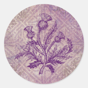 Pegatina Redonda Thistle escocés Morado Knot celta