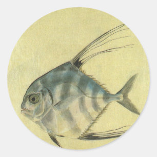 Pegatina Redonda Threadfin Trevally, pez pano africano