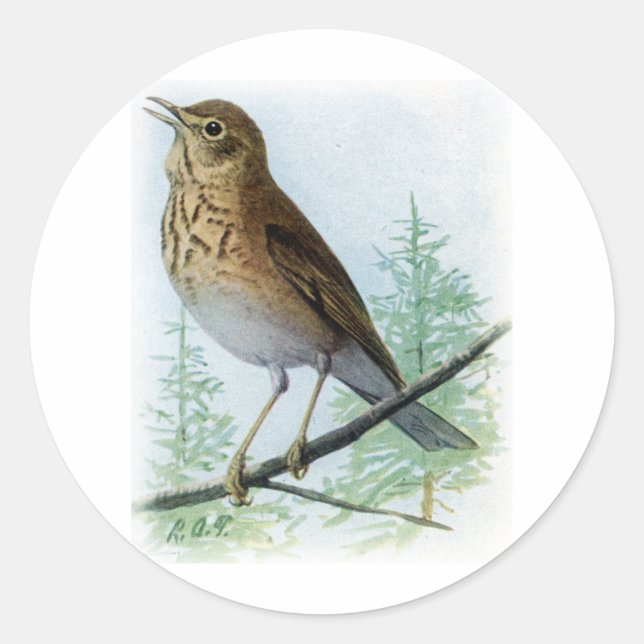 Pegatina Redonda Thrush, de respaldo ruso (Anverso)
