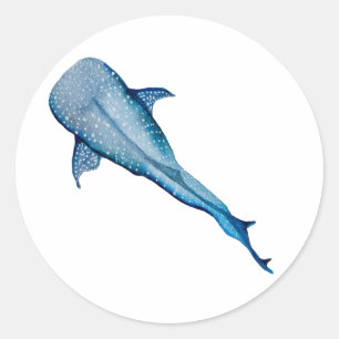 Pegatina Redonda Tiburón ballena acuática