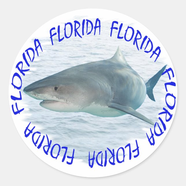 Pegatina Redonda Tiburón de Florida (Anverso)