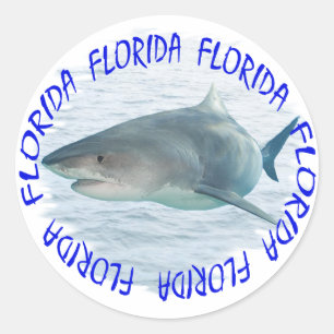 Pegatina Redonda Tiburón de la Florida
