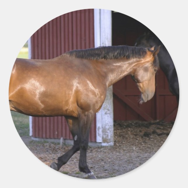 Pegatina Redonda Tiempo de alimentación (Anverso)